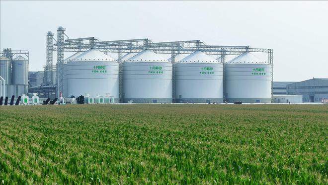 飘央视综艺连续六年销量领先坚守品牌初心pg电子免费试玩模拟器十月稻田新米香(图3)